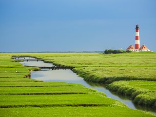 agriculture-countryside-cropland-farm-219950.jpg